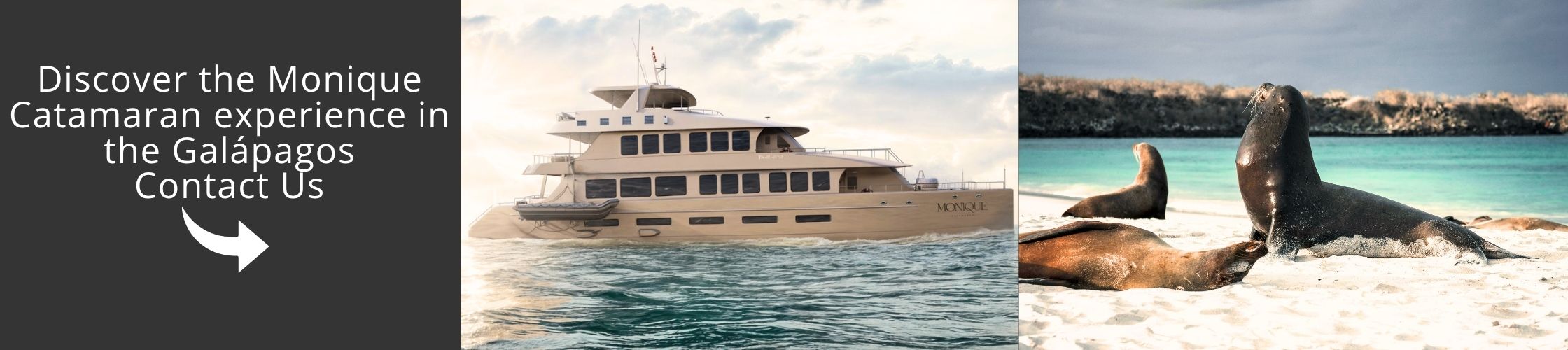Contact us to plan your Galapagos luxury cruise with Monique Catamaran and expert guidance today