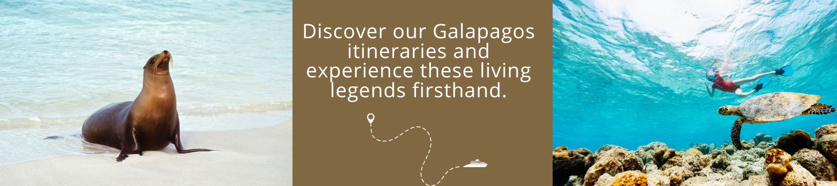 Explore Galapagos itineraries
