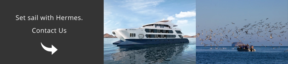 Sail the extraordinary aboard Hermes with us!