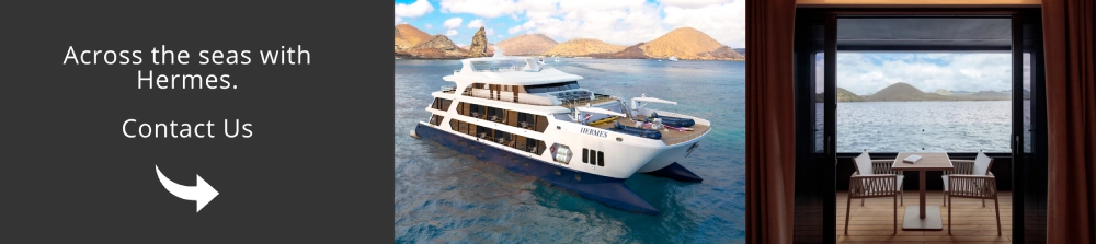 Come and visit Ecuador with Hermes!