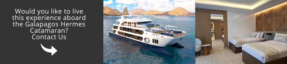 Come and visit Galapagos with us!