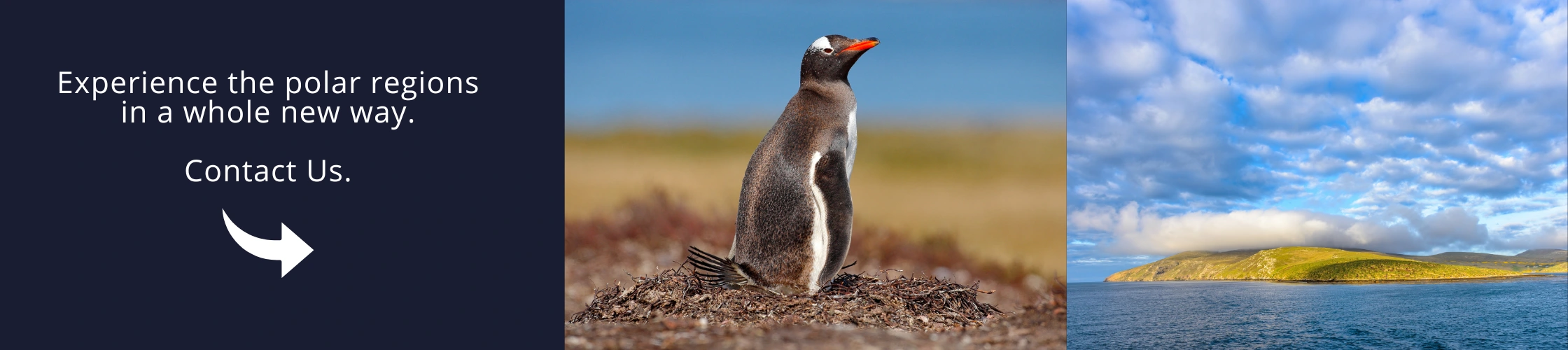 Book an Antarctica travel with us!
