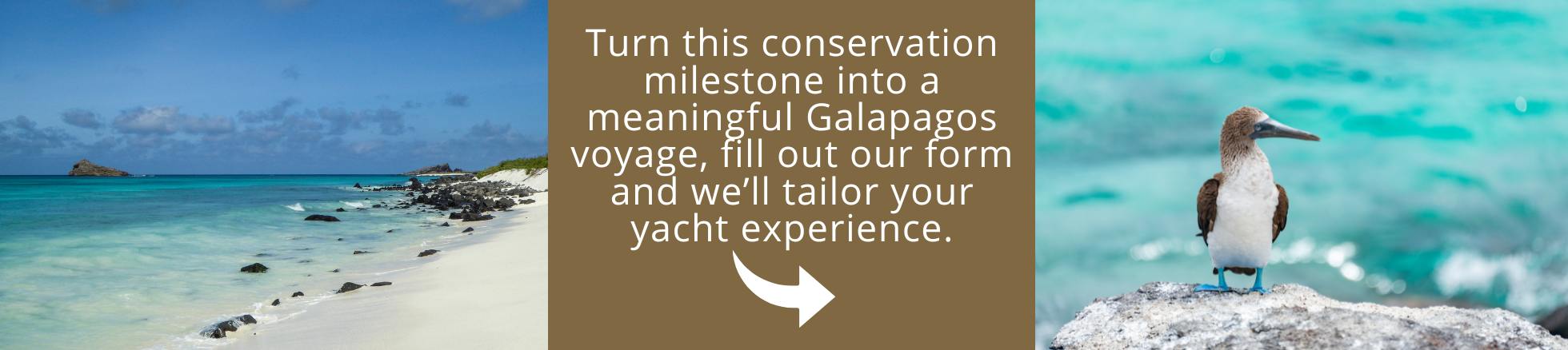 Come and visit Galapagos with us!