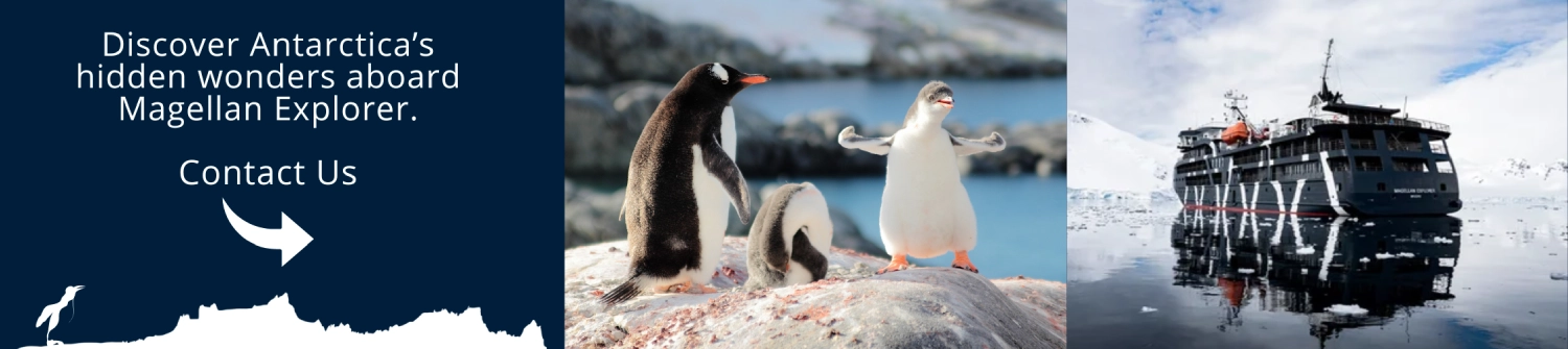 Patagonia is calling, come with us