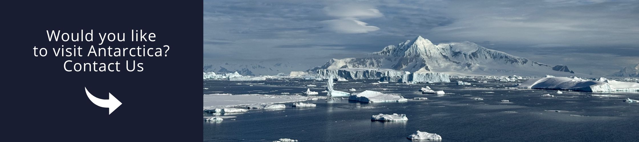 Visit Antarctica with us