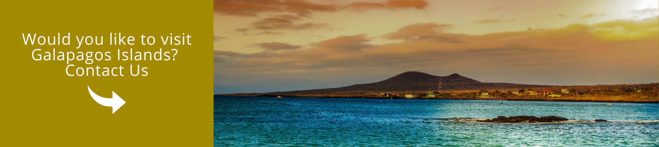 Visit Galapagos with us aboard the Galapagos Passion