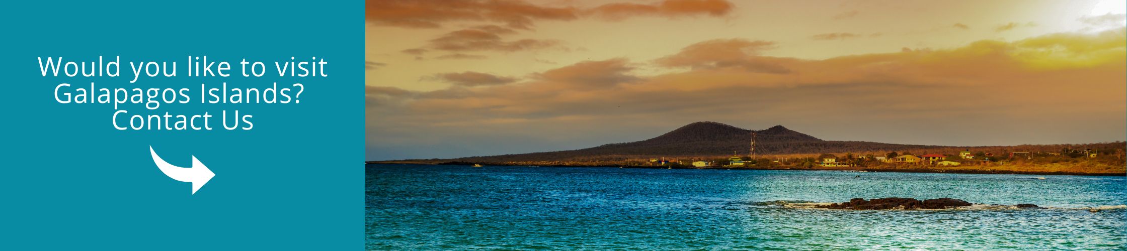 Visit Galapagos with us aboard the Anahi Catamaran