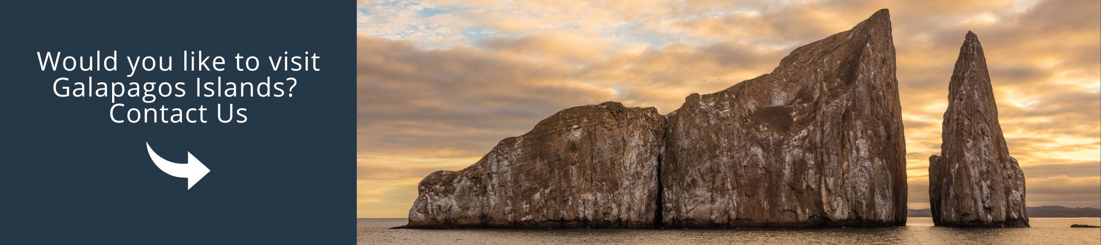 Visit Galapagos with us aboard the Galapagos Explorer Yacht