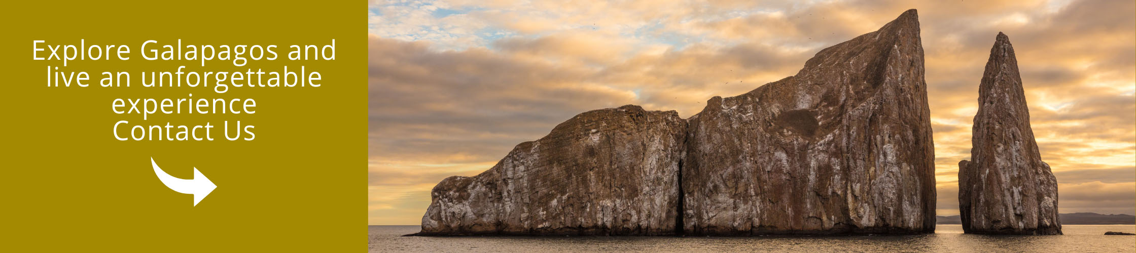 Explore Galapagos and live an unforgettable experience aboard the Galapagos Passion