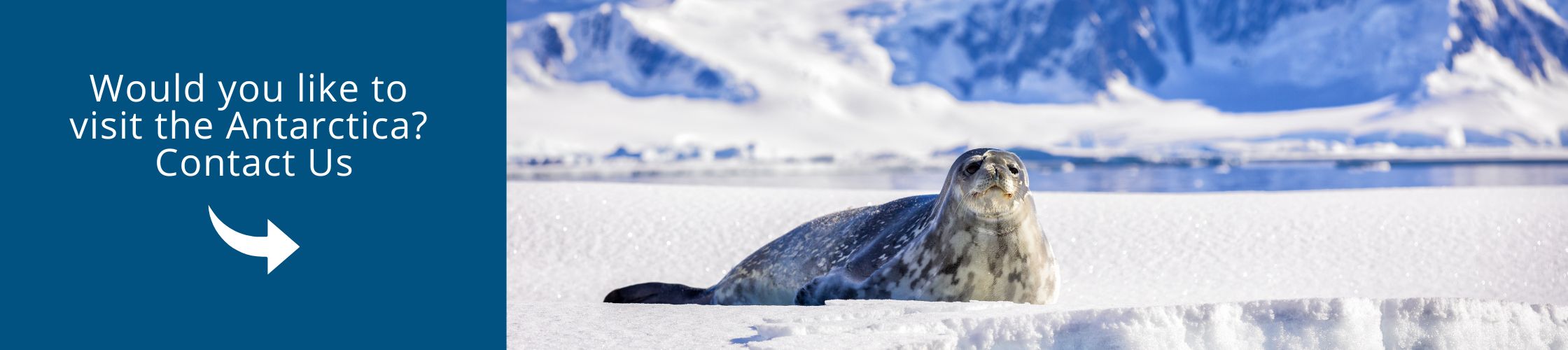 Visit Antarctica with us aboard the Ocean Albatros