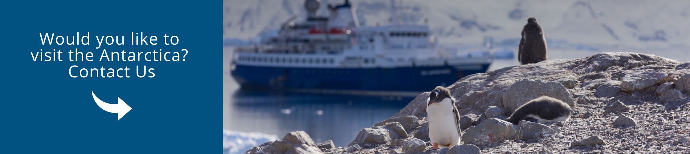 Visit Antarctica aboard the Ocean Albatros