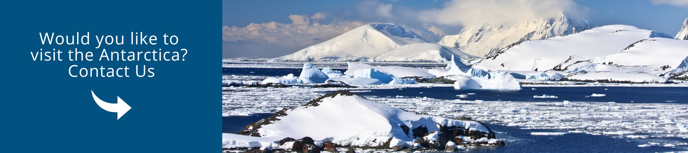 Visit Antarctica with us