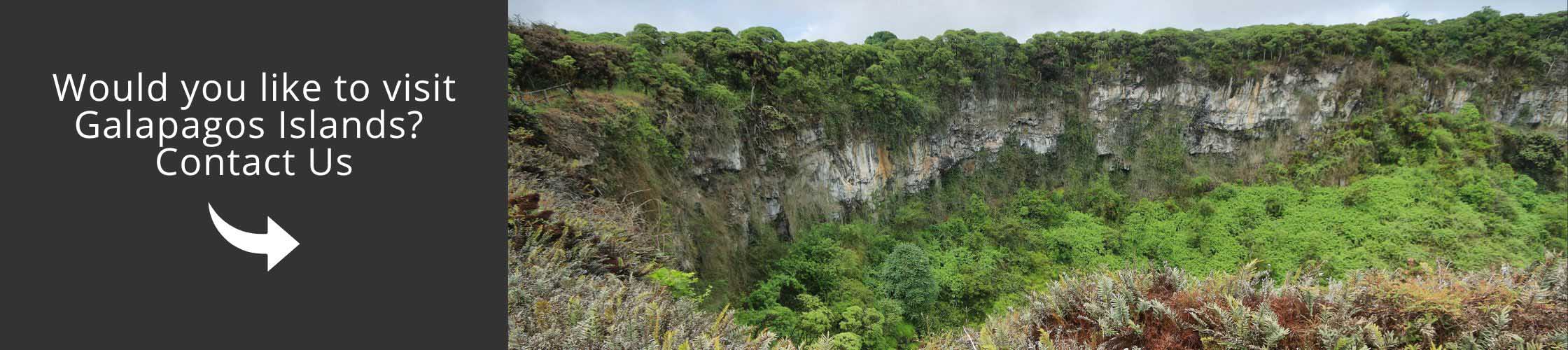 Visit the Twin Craters of Galapagos with us