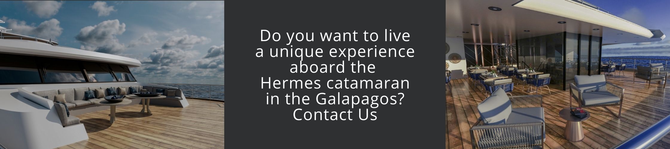 Visit Galapagos with us aboard the Hermes Catamaran