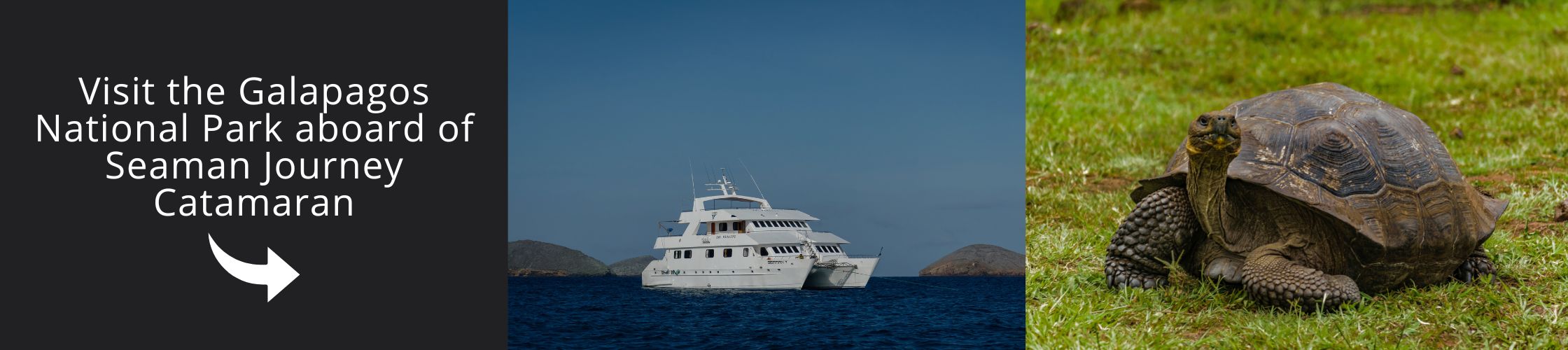 Visit Galapagos with us aboard the Seaman Journey