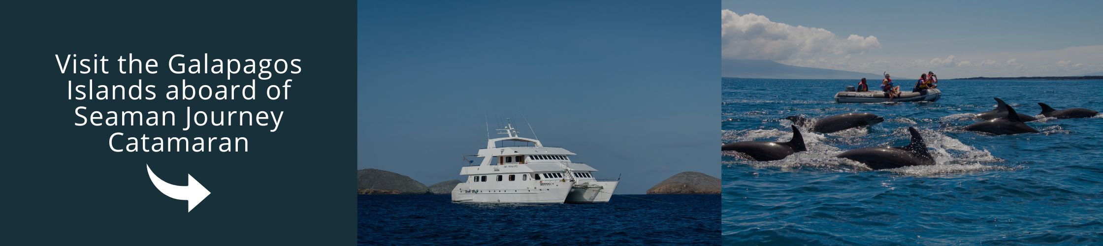 Visit the Galapagos with us aboard the Seaman Journey