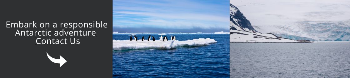 Visit Antarctic Contact Us