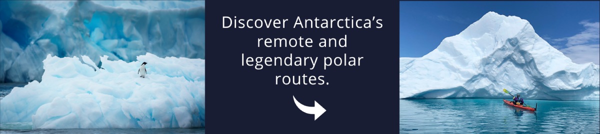 Visit Antarctica