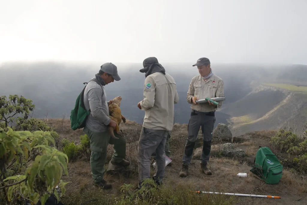 Dr. Jorge Carrión and park rangers with iguanas at Wolf | Galapagos Islands