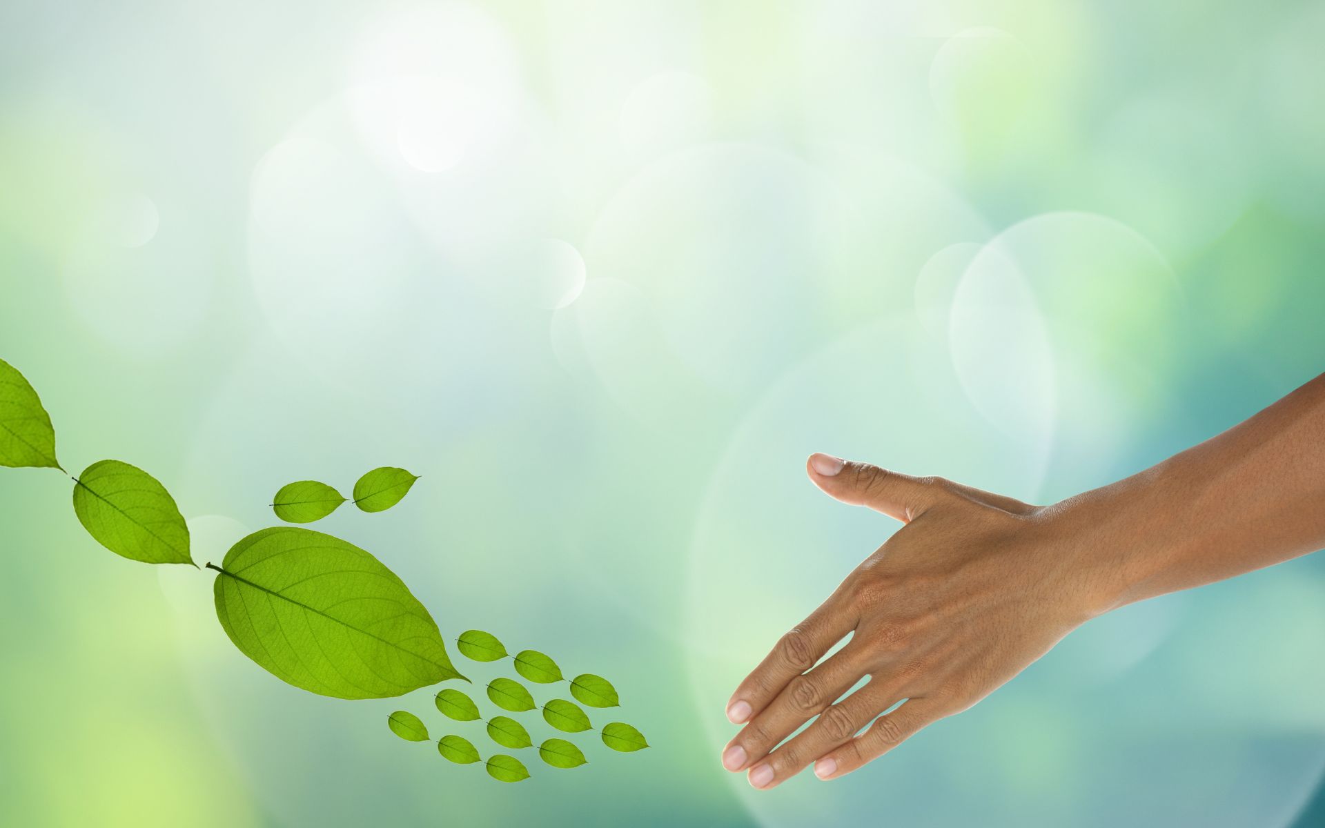 Eco friendly