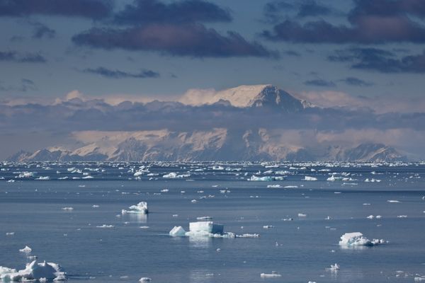 Elephant Island - Antartica
