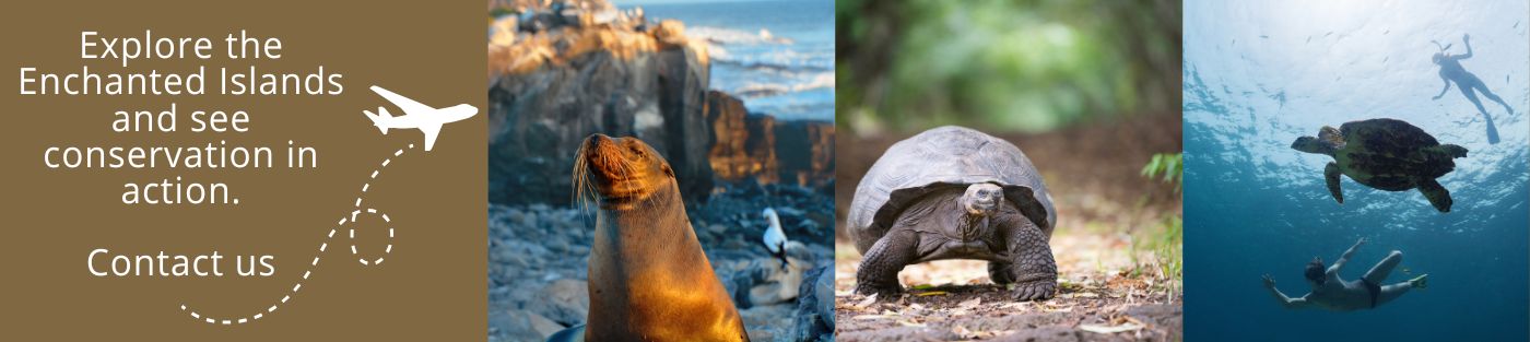 Come and visit Ecuador with us!