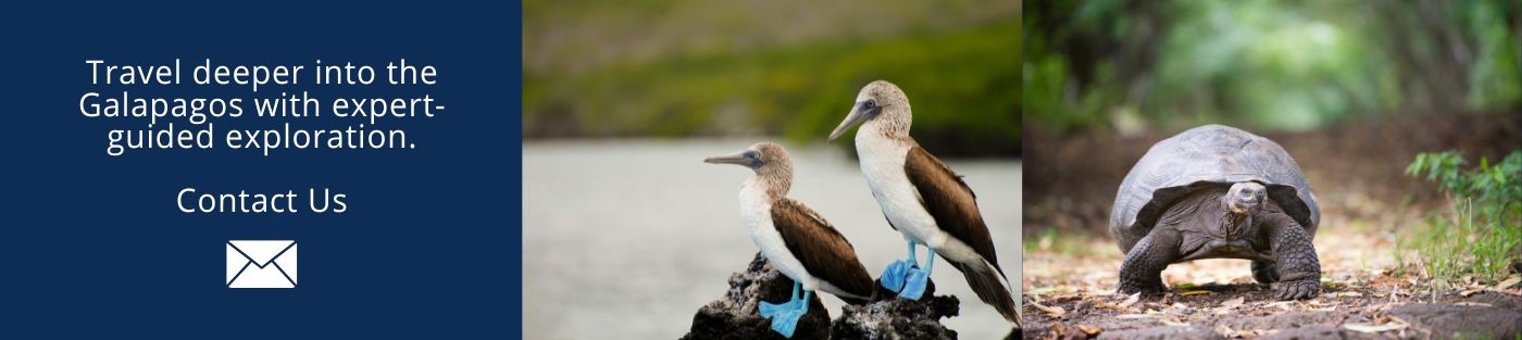 Visit Galapagos - Contact Us