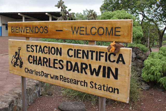 Estación Científica Charles Darwin | Isla Santa Cruz