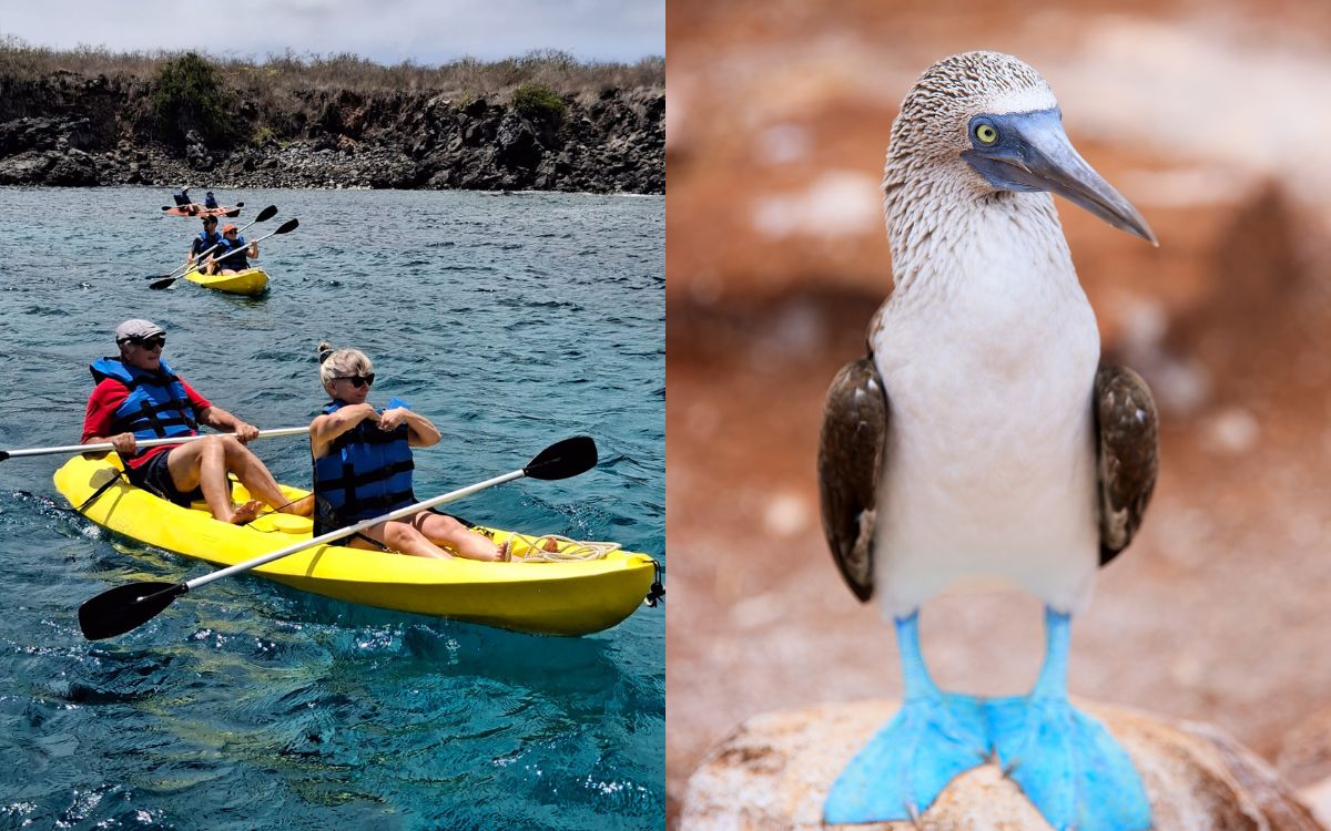 Experiencias - Galápagos