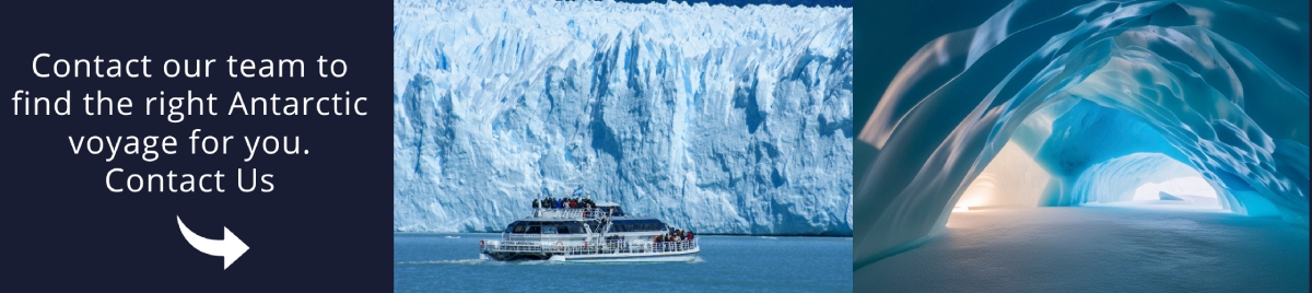 Come and visit Antarctica with us!