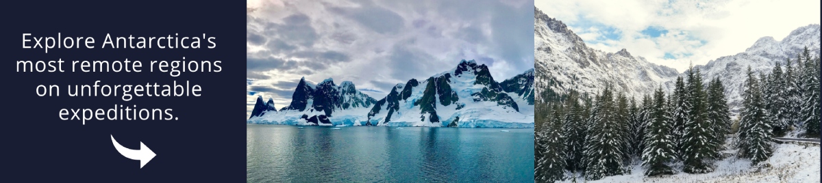 Visit Antarctica