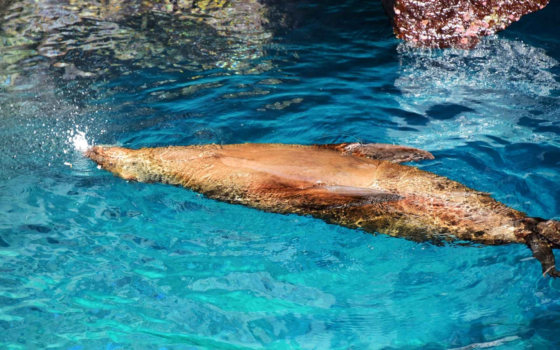 Galapagos | Cruises | Monique Catamaran