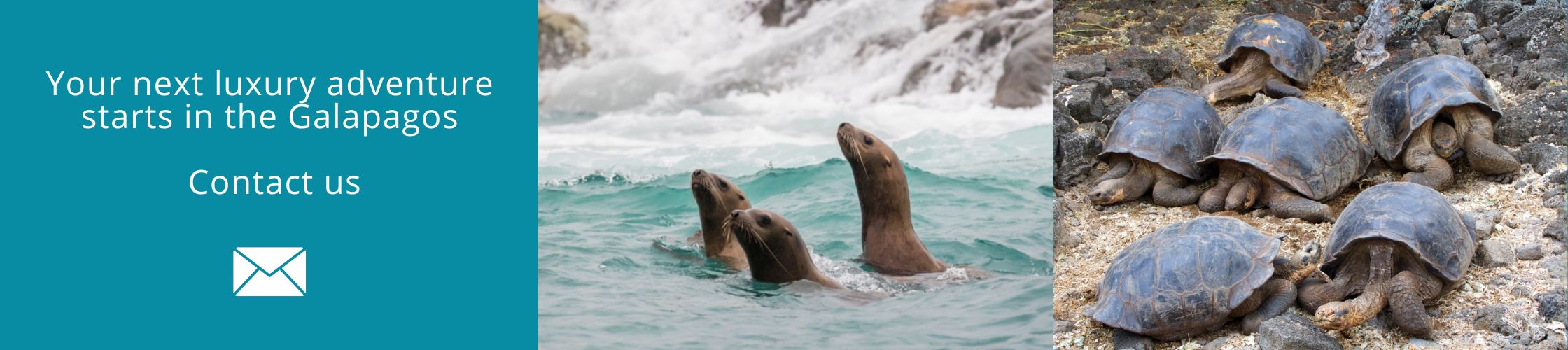 Your next luxury adventure starts in the Galapagos