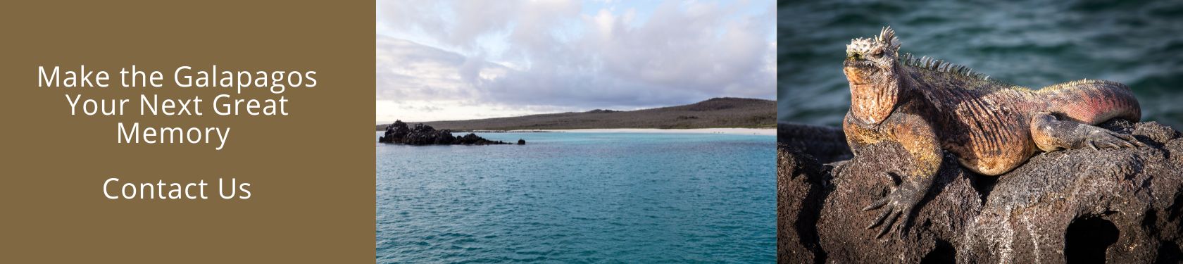 Visit Galapagos WIth Us 