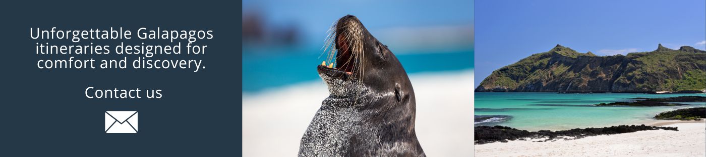 Unforgettable Galapagos itineraries designed for comfort and discovery