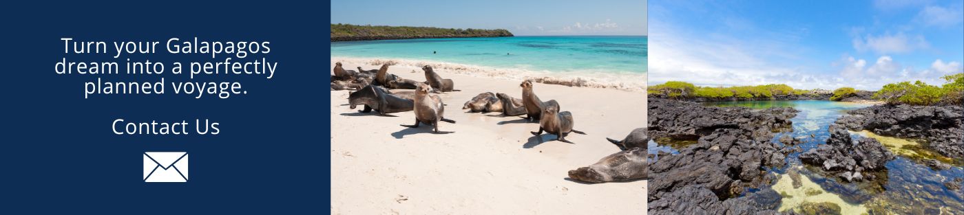 Visit Galapagos wirh us