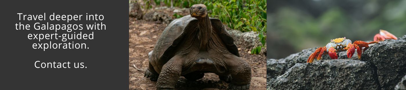 Visit Galapagos With Us