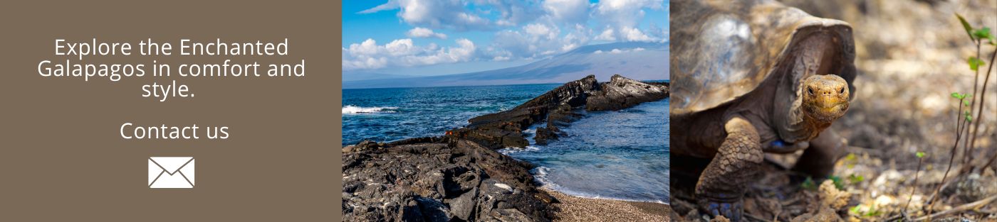 Explore the Enchanted Galapagos in comfort and style