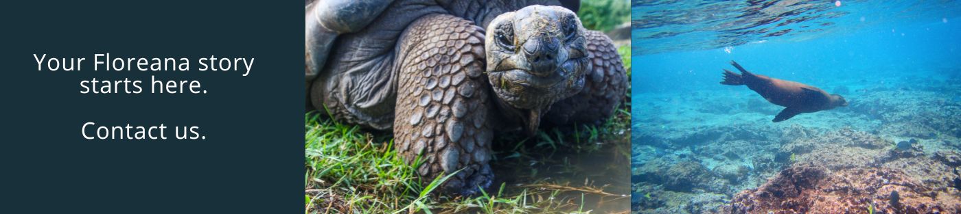 Galapagos Seaman Journey 