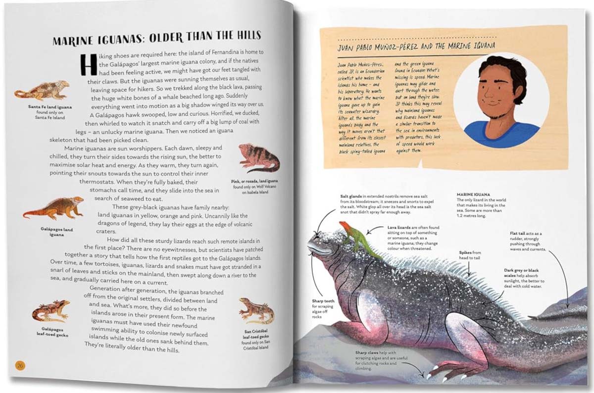 Galapagos Islands Book by Karen Romano Young