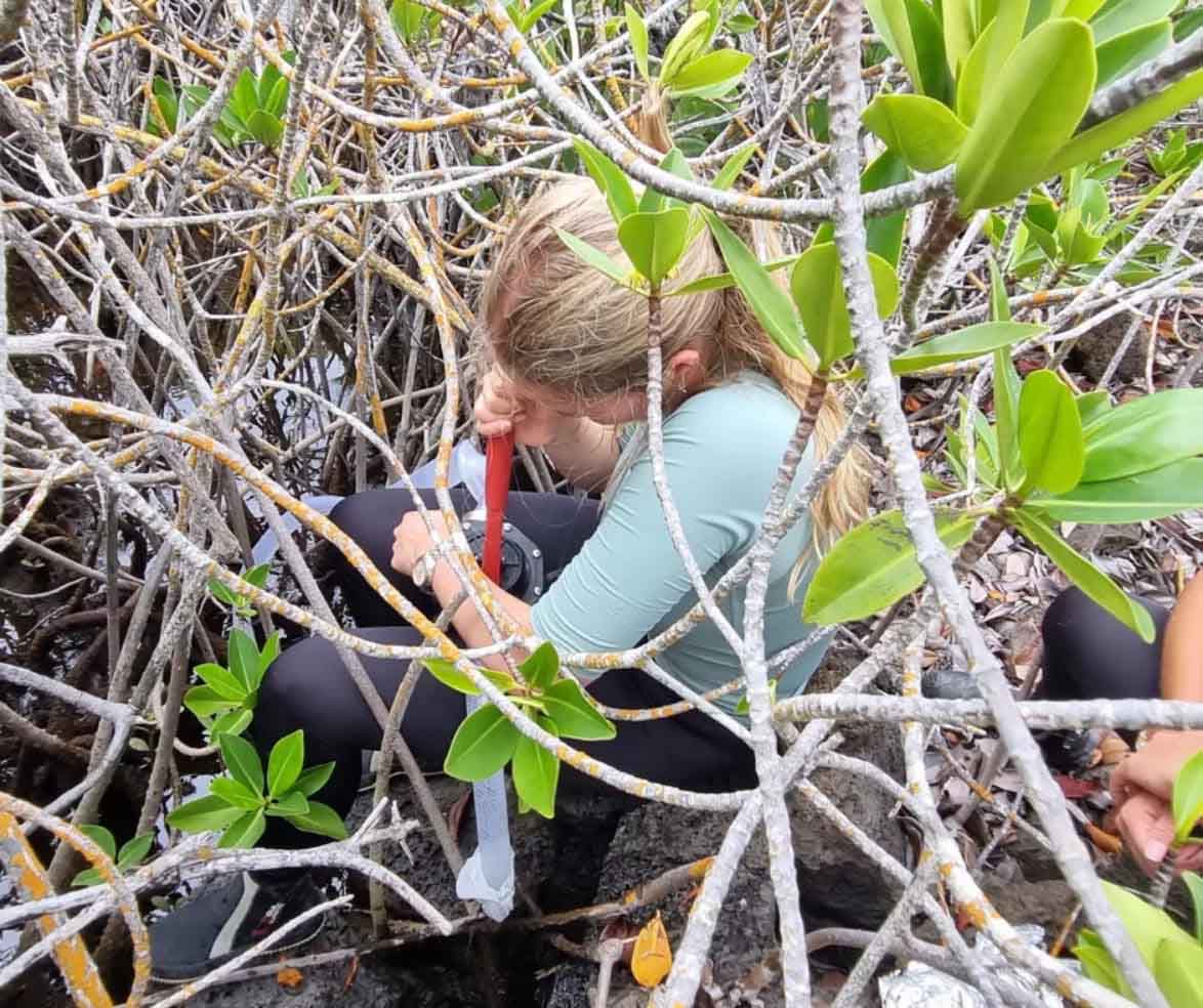 Georgie collecting samples | Galapagos