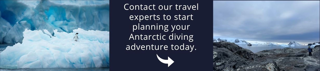 Come and Visit Antarctica!