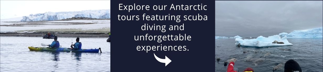 Visit Antarctica