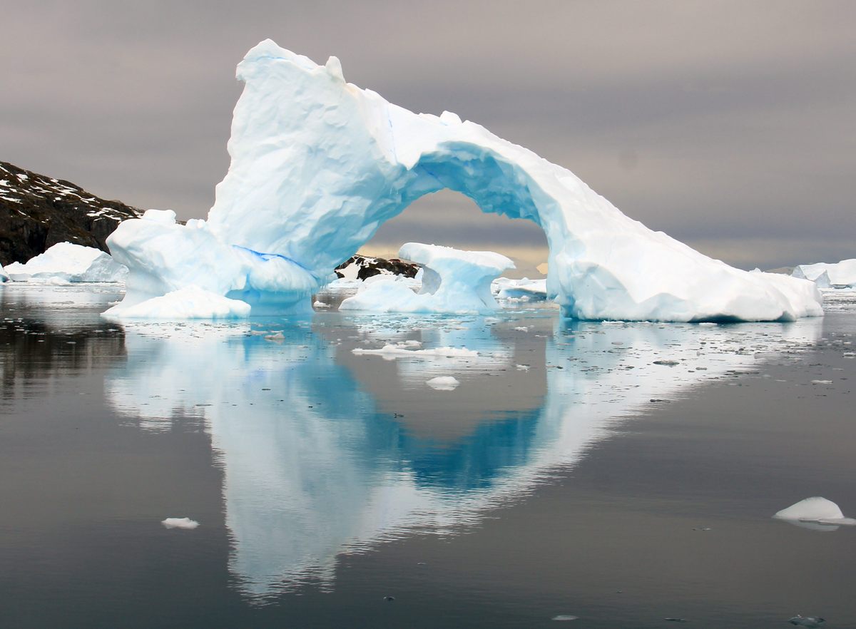 Expedition ship navigating icy waters of Antarctica with penguins on the shore.