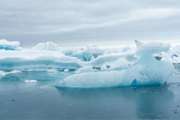 South Georgia & Antarctic Odyssey
