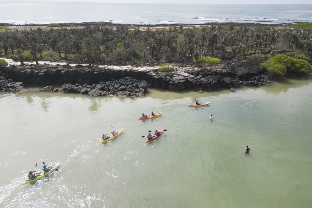 Tourists kayak and enjoy the warm Galápagos waters during beach season.