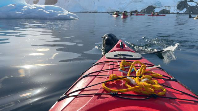 Kayak excursion to the Melchior Islands in Antarctica