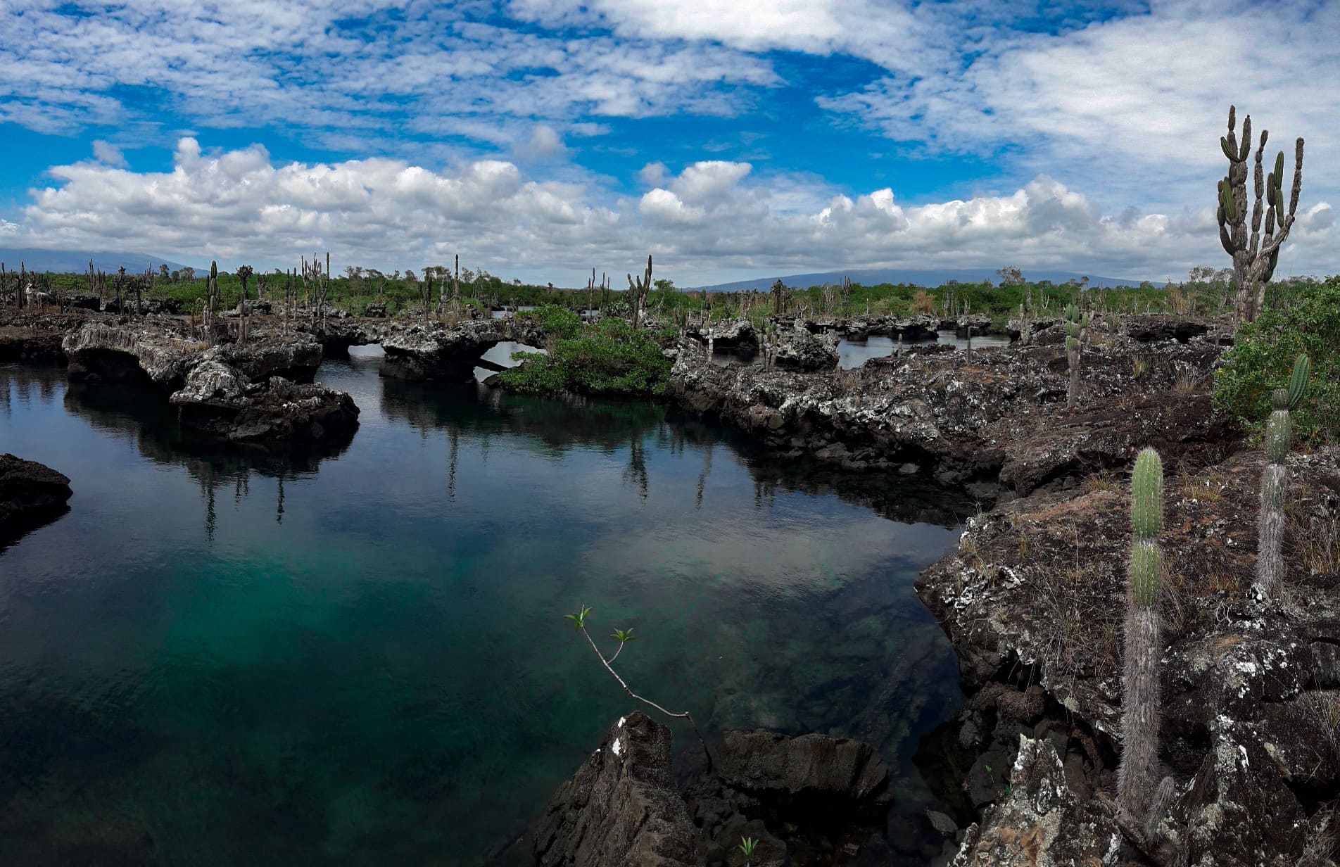Galapagos Islands