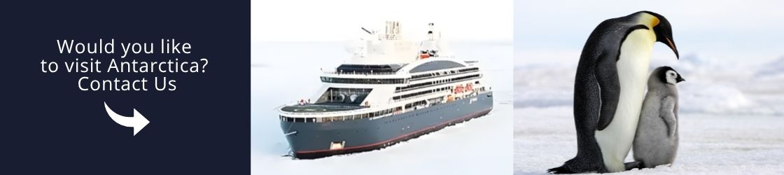 Come and visit Antarctica with us!