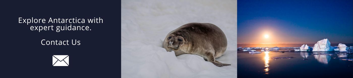 Explore Antarctica with expert guidance
